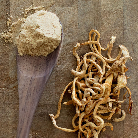 Stay Wyld Organics – Cordyceps Powder (100g) - Image 4