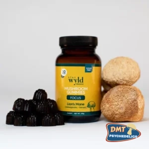 Stay Wyld Organics – Lion’s Mane Mushroom Gummies Edibles