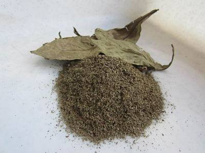 Buy Psychotria viridis (chacruna) leaves